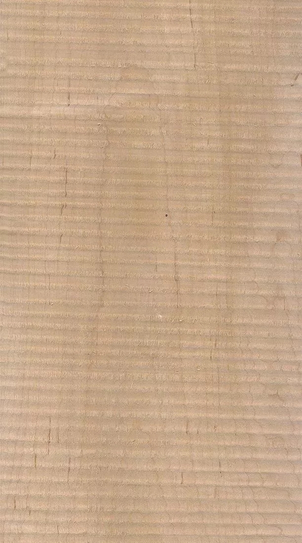 樺木的芯材顏色是淡紅棕色，邊材顏色近白色，板麵寬且帶影的木皮市場價格良好，紋理通常是直紋和波浪紋，質地均勻，板麵有很好的自然光澤度。.webp.jpg